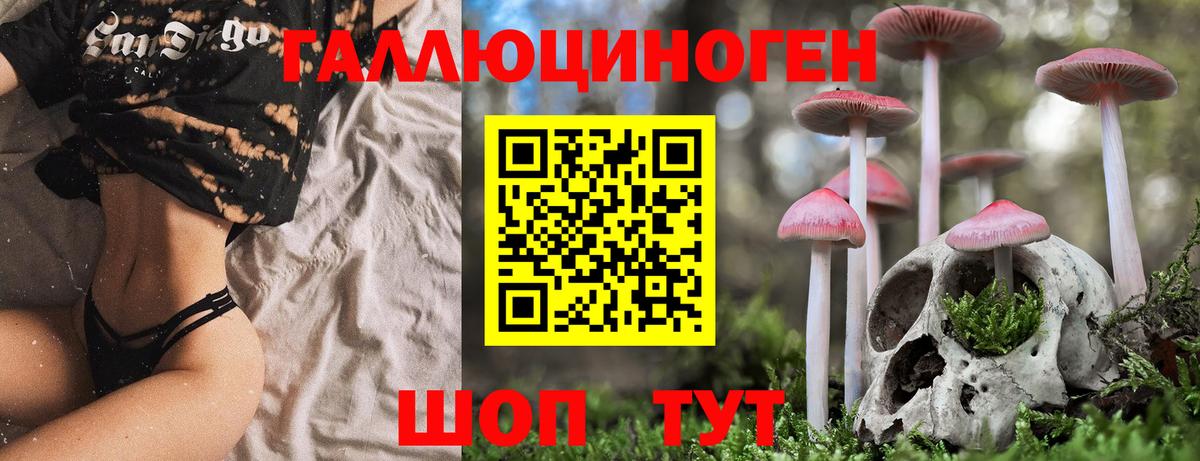 Псилоцибиновые грибы Psilocybe Мытищи